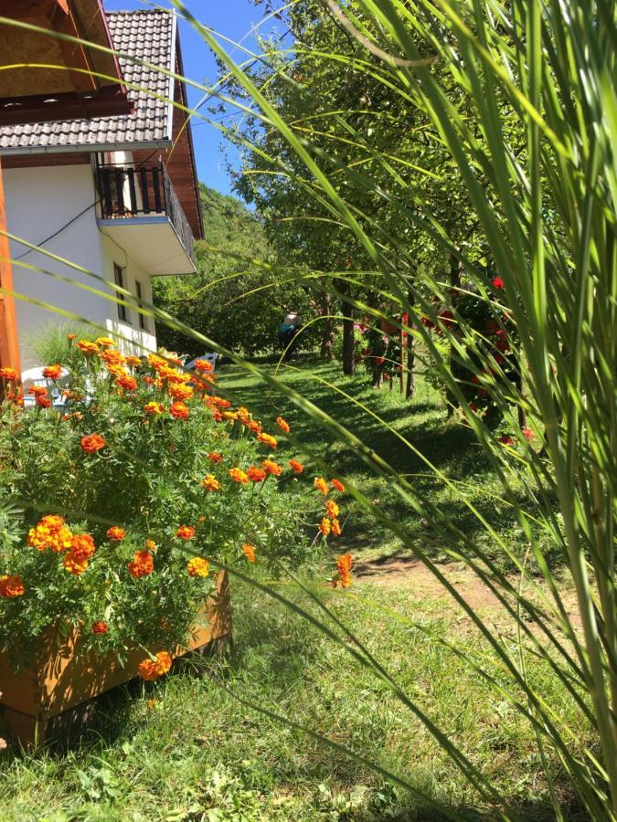 Domacinstvo Ubovic Villa Sipovo Eksteriør bilde